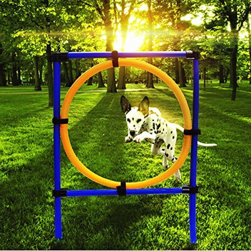Dog Training Jump Hoop Pet Cat Outdoor Games Exercise Equipment Training Agility