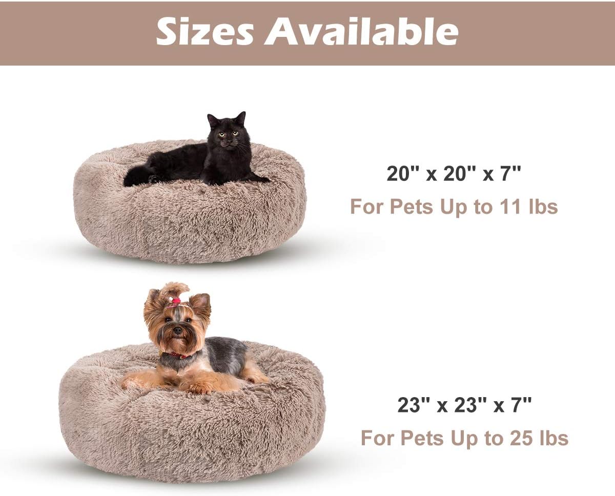JOEJOY Dog Beds for Small Dogs, Soft Faux Short Plush Dog Beds, Cat Beds for Indoor Cats Pet Bed for Kitten Self Warming Winter Comfy Warming Puppy Beds for Small Dogs Washable : Pet Supplies