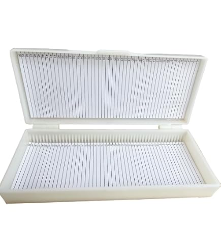50 pieces Microscope Slides Box Holds 1 or 2 or 3 or 5 pieces Slides Plastic Mailers Box Slide Storage - 1420
