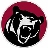 Rico Industries NCAA Lenoir-Rhyne Bears Shape Cut Pennant - Home and Living Room Décor - Soft Felt EZ to Hang