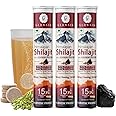G-GLOWSIK Himalayan Shilajit Original Effervescent Tablets (45 Tablet)