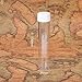 PH PandaHall 30 PCS Clear Plastic Tube Bead Containers Large Storage Tubes 40ml (130x25mm, Diameter 0.98