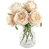 DuHouse 5Pcs Silk Roses Fake Champagne Roses with Stems Real Touch Rose Artificial Flowers for Arrangement Wedding Party Home Decoration(Champagne)