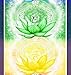 Chakra Banner Sticker ~ 2.5