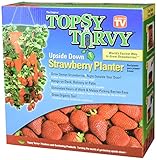 Strawberry Round Planter