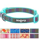 Blueberry Pet 13 Patterns Magic Rainbow Color Reflective Polka Dot Holo Dog Collar in Mint Blue, Medium, Neck 14.5