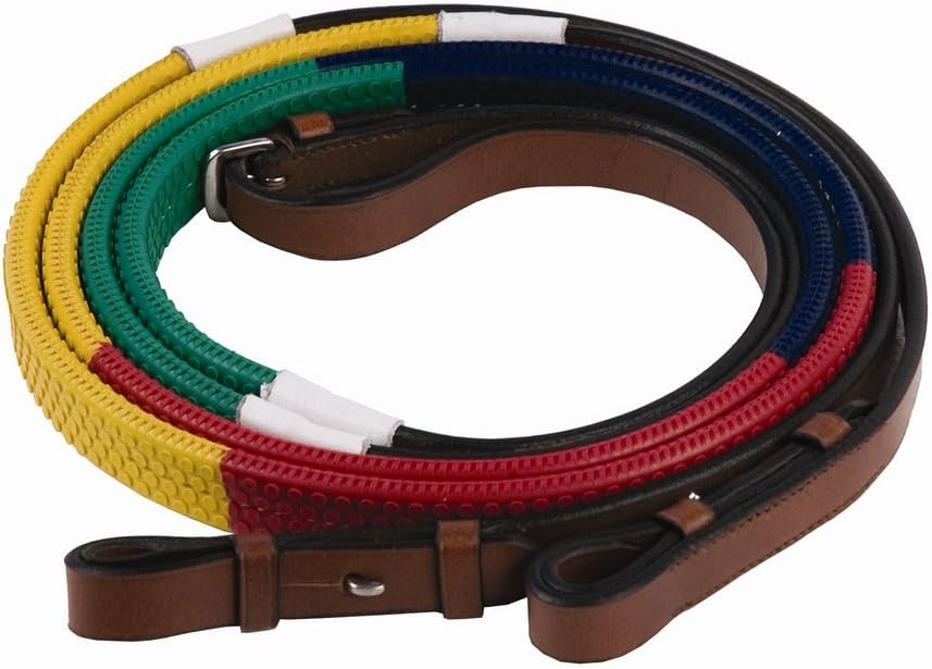 Henri de Rivel Training REINS - Rainbow