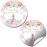 Some Bunny Special Rabbit-Themed Girl Baby Sprinkle Baby Shower Thank You Sticker Labels, 40 2" Party Circle Stickers by AmandaCreation, Great for Party Favors, Envelope Seals & Goodie Bags