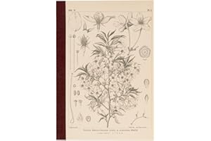 Tomitaro Makino/Almost Daily Square Notebook (A5) Yamazakura 3.7 mm Square 288 Pages, 4 Color Grid, Notebook Accessory