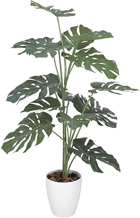 Amazon 造花アート 観葉植物 モンステラ1 2 誕生日祝い 結婚祝い 結婚記念日 出産祝いに ビジネスフラワー 人工観葉植物 通販 Amazon 造花アート 観葉植物 モンステラ1 2 誕生日祝い 結婚祝い 結婚記念日 出産祝いに ビジネスフラワー 人工観葉植物 通販