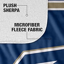 University of Akron Zips Primary Logo Stripes