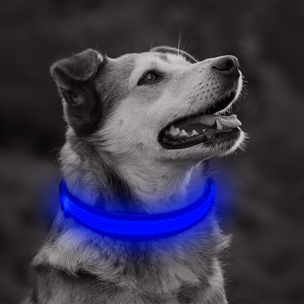 Ezier LED Dog Collar, USB Rechargeable Glowing Led Pet Collars, Comfortable Mesh Reflective Light Up Collars for Large Dogs (L, Blue)