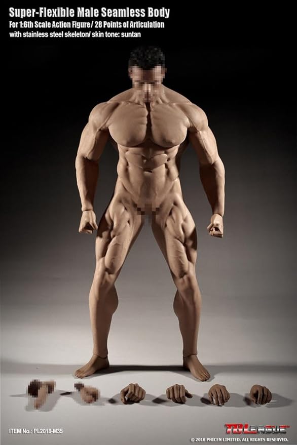 Amazon 1 6 男性フィギュア 用 新商品 Tbleague シームレス 素体 スーパー筋肉タイプ フィギュア ボディ Pl18 M35 素体セット 2点男性器付き フィギュア ドール 通販