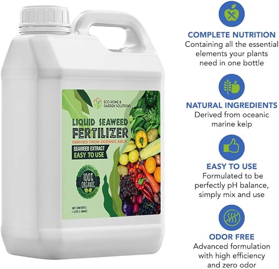 Amazon Com Eco Home Garden Indoor Plant Fertilizer Organic Indoor Plant Food Made From Liquid Kelp Seaweed Extract Great Vegetable Liquid Fertilizer House Plant Fertilizer Indoor 1 Liter