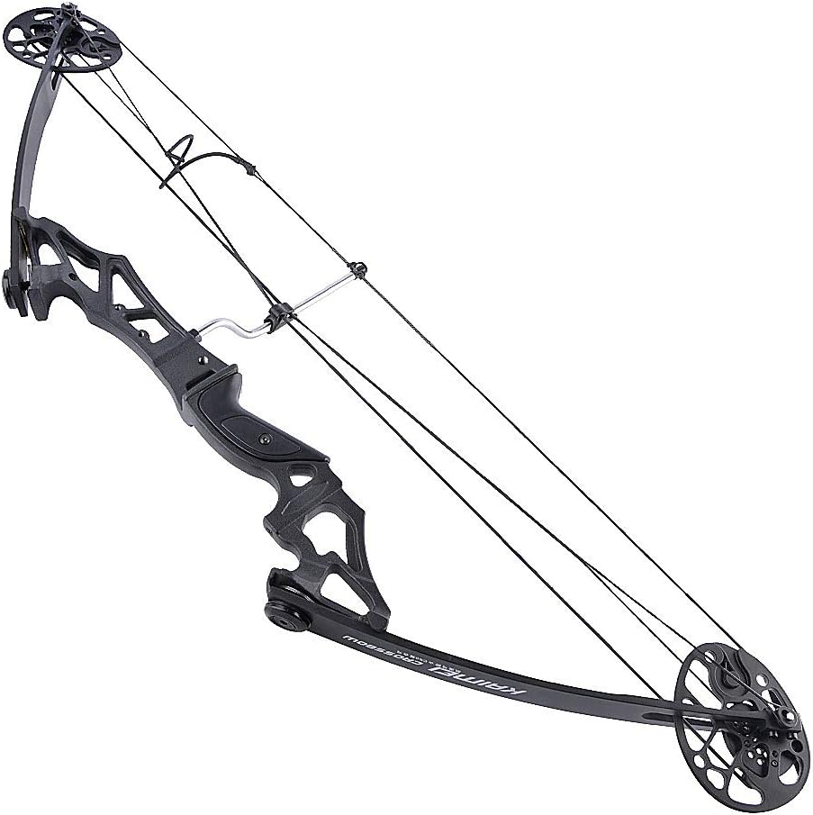 ZSHJGJR Archery Compound Bow and Arrow Set 3050lbs