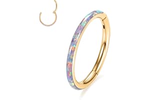 AROWRO CZ Hinged Hoop Ring 18G 16G 6/8/10/12mm Surgical Steel Conch Daith Rook Cartilage Tragus Helix Earrings Septum Clicker Ring Nose Piercing Jewelry