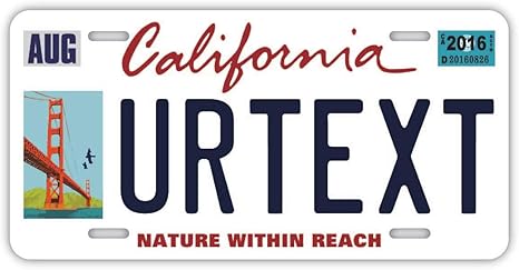 Amazon フラット オリジナルカスタムナンバープレート アメリカ 大 Us車用 カリフォルニア サンフランシスコver 置物 オブジェ オンライン通販