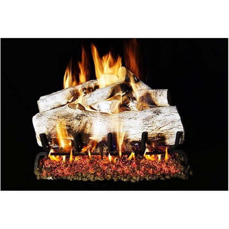 Amazon.com: RH Peterson Co. New See Thru Mountain Birch Gas Logs- 24 Inch-  LOGS ONLY : Home u0026 Kitchen