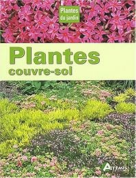 Plantes couvre-sol