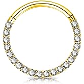 BLISI G23 Titanium Nose Rings Hoop Septum Clicker 16G Hinged Nose Segment Ring Hoop 8mm/9mm/10mm Cubic Zirconia Cartilage Earrings Conch Daith Helix Rook Tragus Ear Body Piercing Jewelry