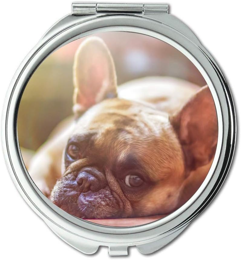 Amazon.com: Yanteng Mirror,Compact Mirror,Dog Bulldog Pet Canine Lying