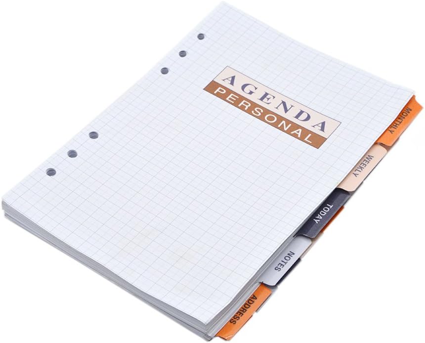 EzSos Refill Paper, Loose Leaf Binder Notebook with Label, Personal Agenda, Refills 6 Hole Lined Filler Paper for A5, 8.4 X 6.1 Inches, 106 Sheets/212 Pages, White
