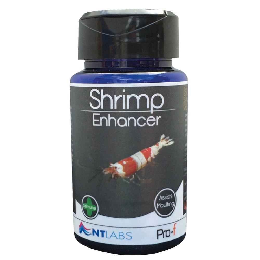 NT Labs SHRIMP ENHANCER 0.8-1.2MM GRANULES SLOW SINKING 40g tube