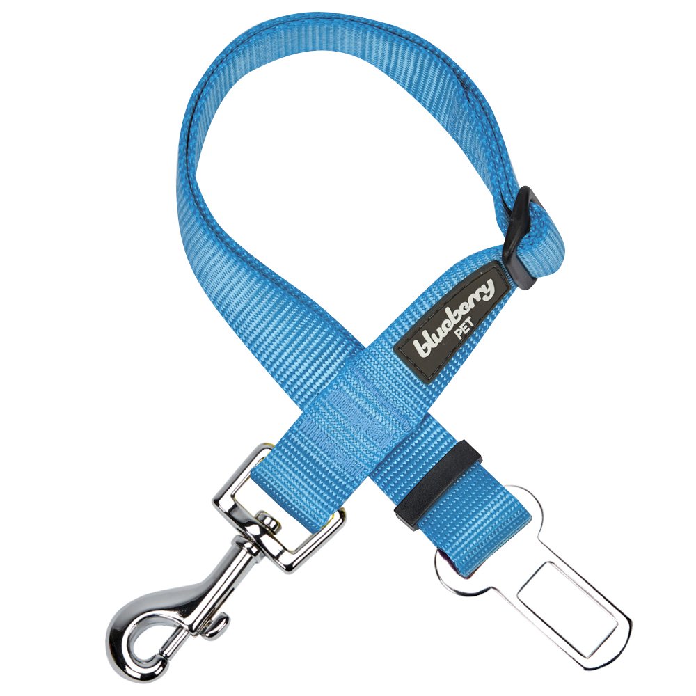 Blueberry Pet Essentials Classic Dog Seat Belt Tether for Dogs Cats, Medium Turquoise, Durable Safety Car Vehicle Seatbelts Leads Use with Harness