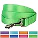 Blueberry Pet Essentials Neon Green Dog Leash for Medium - 5' * 3/4
