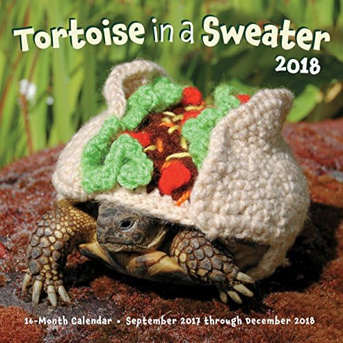 Tortoise in a Sweater 2018: 16-Month Calendar September 2017 through December 2018 (Calendars 2018)
