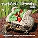 Tortoise in a Sweater 2018: 16-Month Calendar September 2017 through December 2018 by