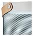 B&O PLAY by Bang & Olufsen Beolit 15 Portable Bluetooth Speaker (Polar Blue)