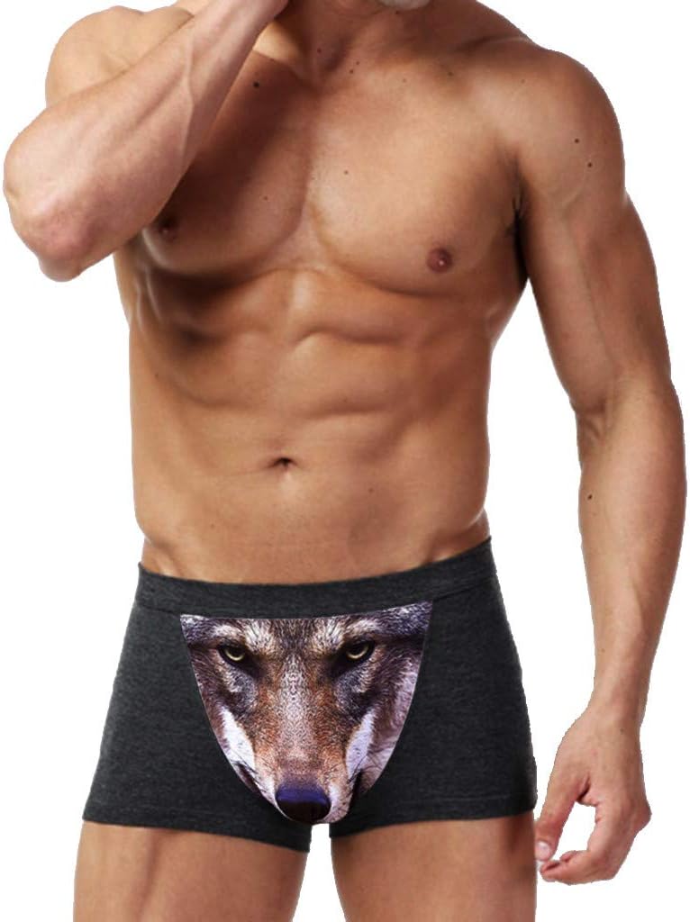 Men's Sexy Wolf 3D Printed Boxer Briefs Underwear Shorts Underpants Nightwear Heath to wear Shorts Sport Trunk Dark Gray