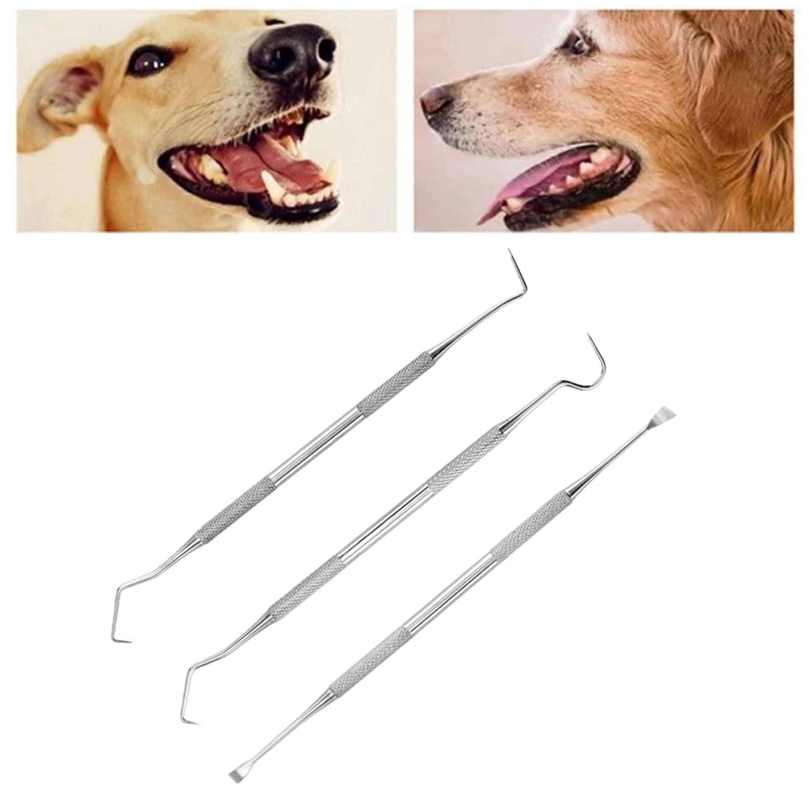 Symphonyw Calculus Remover for Dog, 3pcs Stainless Steel Tarter Remover Oral Tool Pet Dog Cat Dental Teeth Cleaning Tools (3PCS)