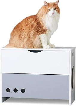 Amazon Oft 木製 キャット チェア ハウス スツール 座れるキャットハウス 収納 キャットハウス 椅子 座れる 猫 居心地の良い トンネル リラックス 家具 サイズ 約 外寸 幅60 奥30 高46 2cm 内寸 上段 幅56 5 奥27 高12cm 下段 幅56 5 奥 27 高25 5cm Amazon Oft 木製 キャット チェア ハウス スツール 座れるキャットハウス 収納 キャットハウス 椅子 座れる 猫 居心地の良い トンネル リラックス 家具 サイズ 約 外寸 幅60 奥30 高46 2cm 内寸 上段 幅56 5 奥27 高12cm 下段 幅56 5 奥 27 高25 5cm