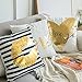 MIULEE Pack of 4, Gold Stamping Soft Solid Decorative Outdoor Square Throw Pillow Covers Set Cushion Case for Sofa Bedroom Car 18 x 18 Inch 45 x 45 cm
