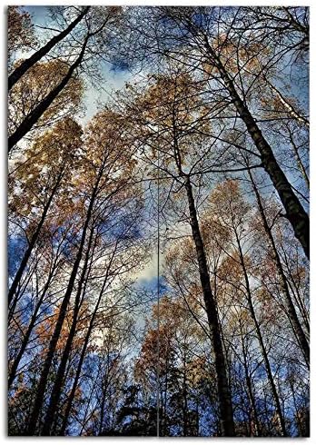 Amazon のれん 暖簾 植物 ユーカリ 室内インテリア おしゃれ 幅85cm 丈0cm 半遮光 おしゃれ 天然素材 動物 空を背景にした木のてっぺんパインズ怖い晴れやかな自然景色静かなプリント のれん オンライン通販