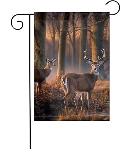 その他 2y kotohayokozawa】STAR☆ PATCH HOODIE (SET UP)｜CONVERSE TOKYO