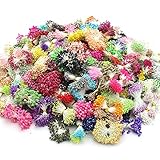 100g/lot,Approx 1100pcs Random Mixed Size Double Heads Artificial Flower Stamen (Style 1)