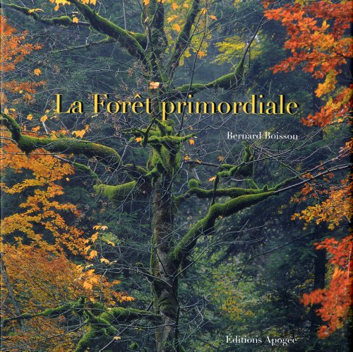 La forêt primordiale (Beaux livres) (French Edition) by Bernard Boisson