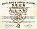 Personalized Harry Potter Diploma - Hogwarts School of Witchcraft and Wizardry Degree of Master of Wizardry