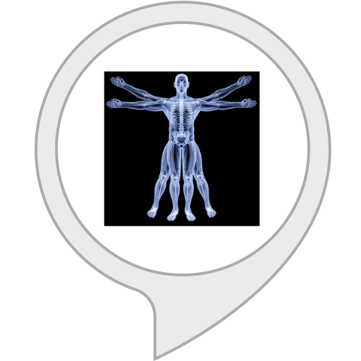 human anatomy Alexa Skills