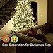 Homestarry HS-SL-010 Dimmable String Lights Pro, 240 LED's Copper Wire, with Wireless Handheld Remote Control, 12V Power Adapter, 40-Feet - Warm White
