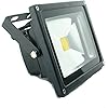 QUANS 20W 12V 24V AC DC Ultra Bright White LED Security Wash Flood light Floodlight Lamp High Power Black Case Waterproof IP65 Work in the Rain Superbright (Warm White)