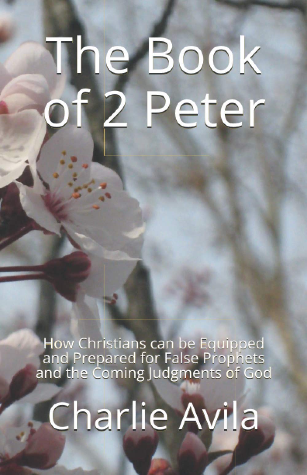 Amazon The Book Of 2 Peter How Christians Can Be Equipped And Prepared For False Prophets And The Coming Judgments Of God Avila Charlie Religion Spirituality