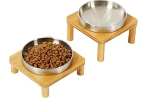 DoogCat Elevated Cat Bowls for Indoor Cats – Raised Bamboo Cat Bowl Stand with 5.5 Inch Wide Stainless Steel Dishes, Pet Food Table Plate for Easy Feeding, Whisker Friendly(Silver,Set of 2)