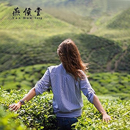 Yan Hou Tang Organic Taiwan Original Green Oolong 50 Teabags -Loose Leaf High Mountain Fragrance Flavor Taste Formosa Spice for Detox Weight Loss and stress relief