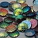 50PCS 12mm Resin Mermaid Cabochons AB Iridescent Mermaids Cabochon, Mixed Colors