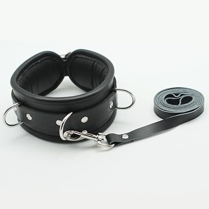 leather lead and collar