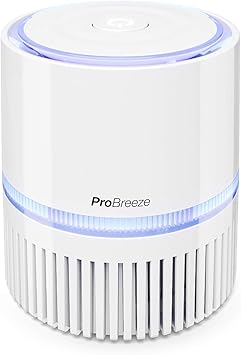 Pro Breeze 3 In 1 Mini Desktop Luftreiniger Mit Hepa Filter Und Ionisator Kleiner Luftfilter Fur Zu Hause Oder Buro Ideal Fur Allergiker Und Raucher Usb Und Netzkabel Amazon De Baumarkt